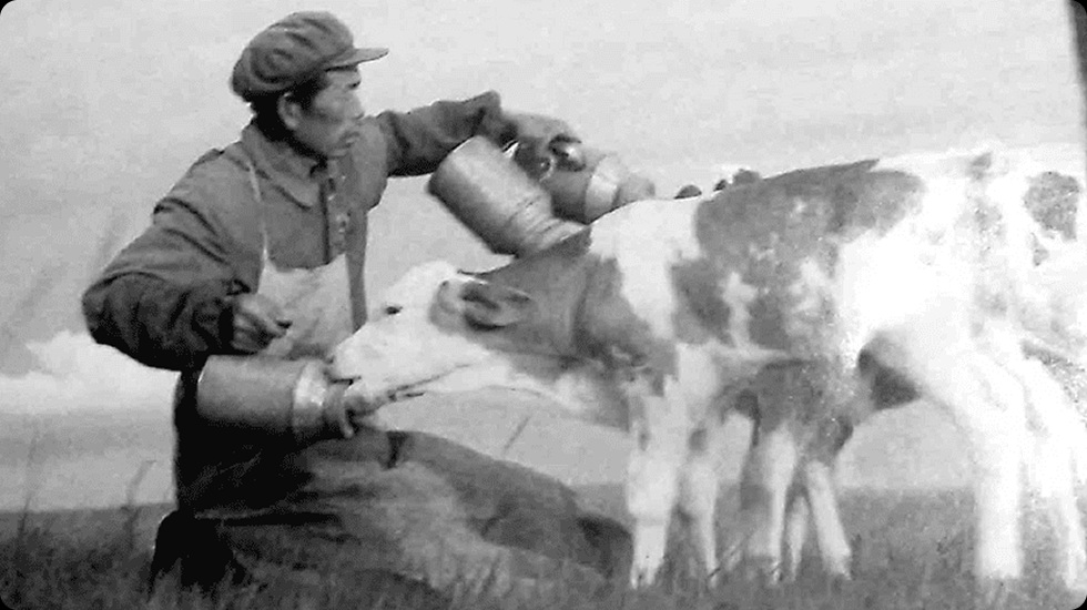 1956年 正式启航