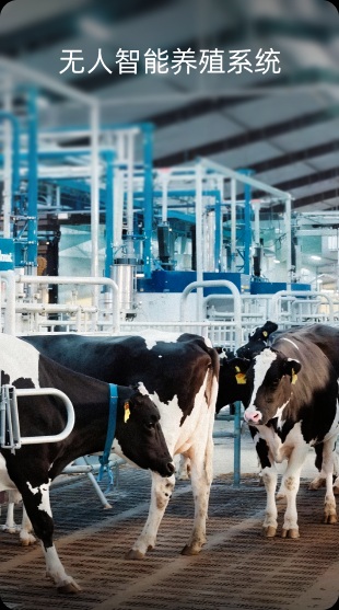 无人智能养殖系统